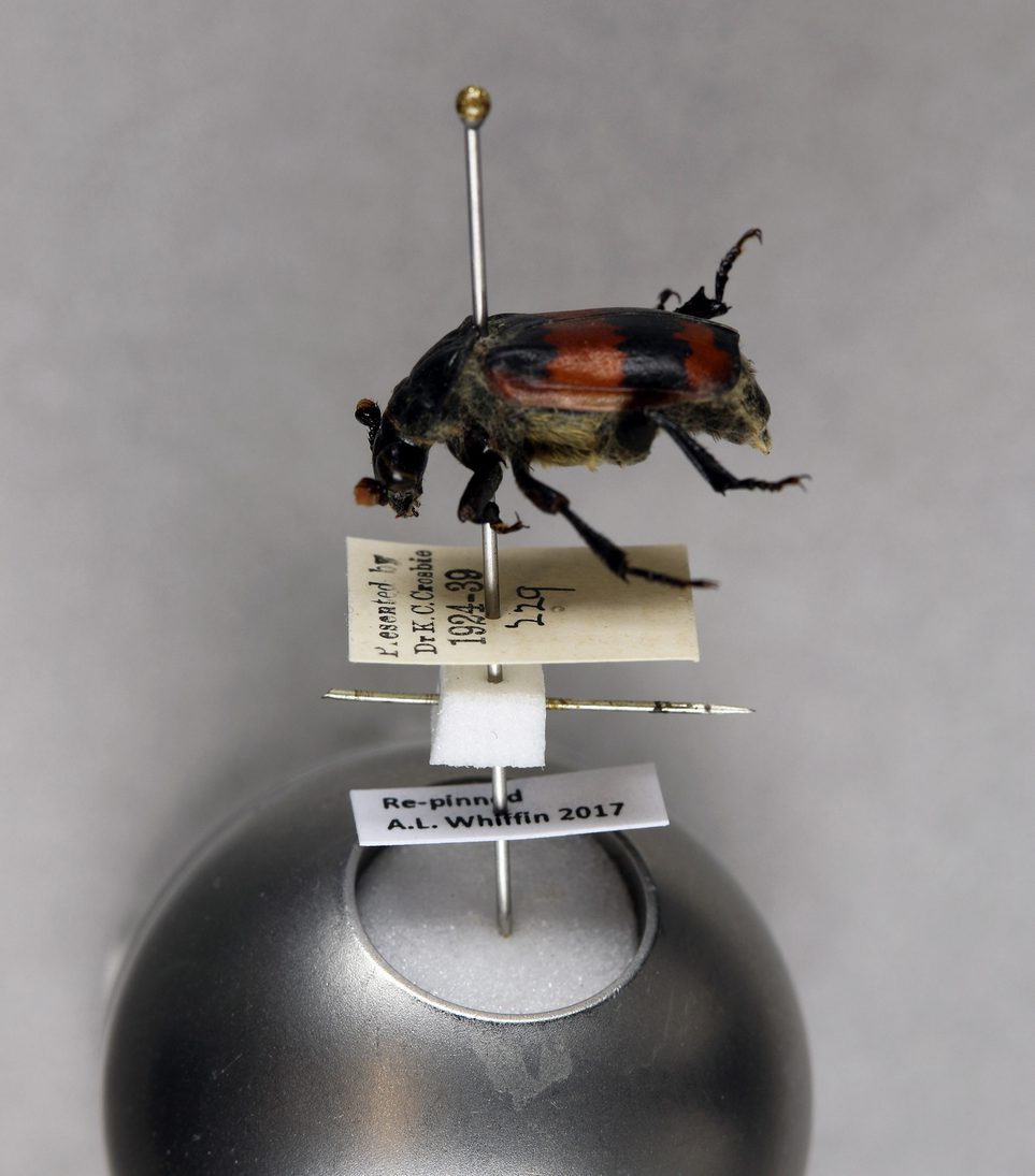 Example of a pin replacement, with original pin retained